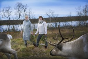 Gründerne bak Rein Styrke Gry og Ellen går sammen med rein i høstlandskap. Innsjø i bakgrunnen og rein i forgrunnen.