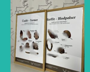 innrammede plakater