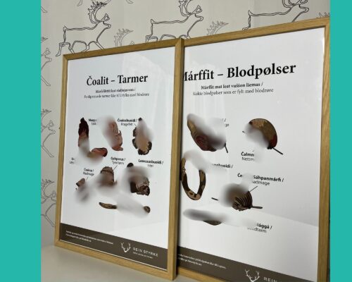 innrammede plakater