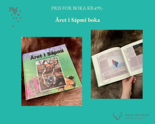 Året i Sapmi omslag av boka og en side åpen
