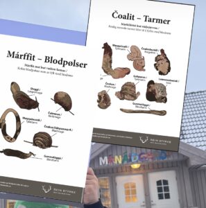 Plakater i lufta av tarmer og blodpølser