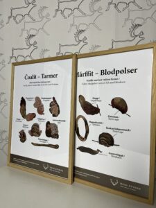 plakater av reinsdyrtarmr og blodpølser i ramme