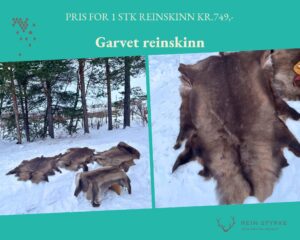 to bilder av reinskinn