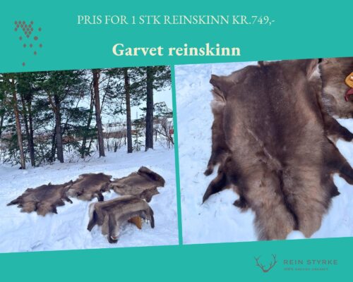 to bilder av reinskinn