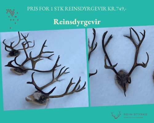 tre stk reingevir på plate til oppheng