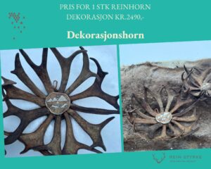 Reinhorn fruktkurv som dekorasjon