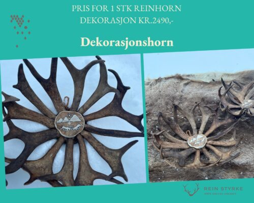 Reinhorn fruktkurv som dekorasjon