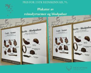 innrammet plakat